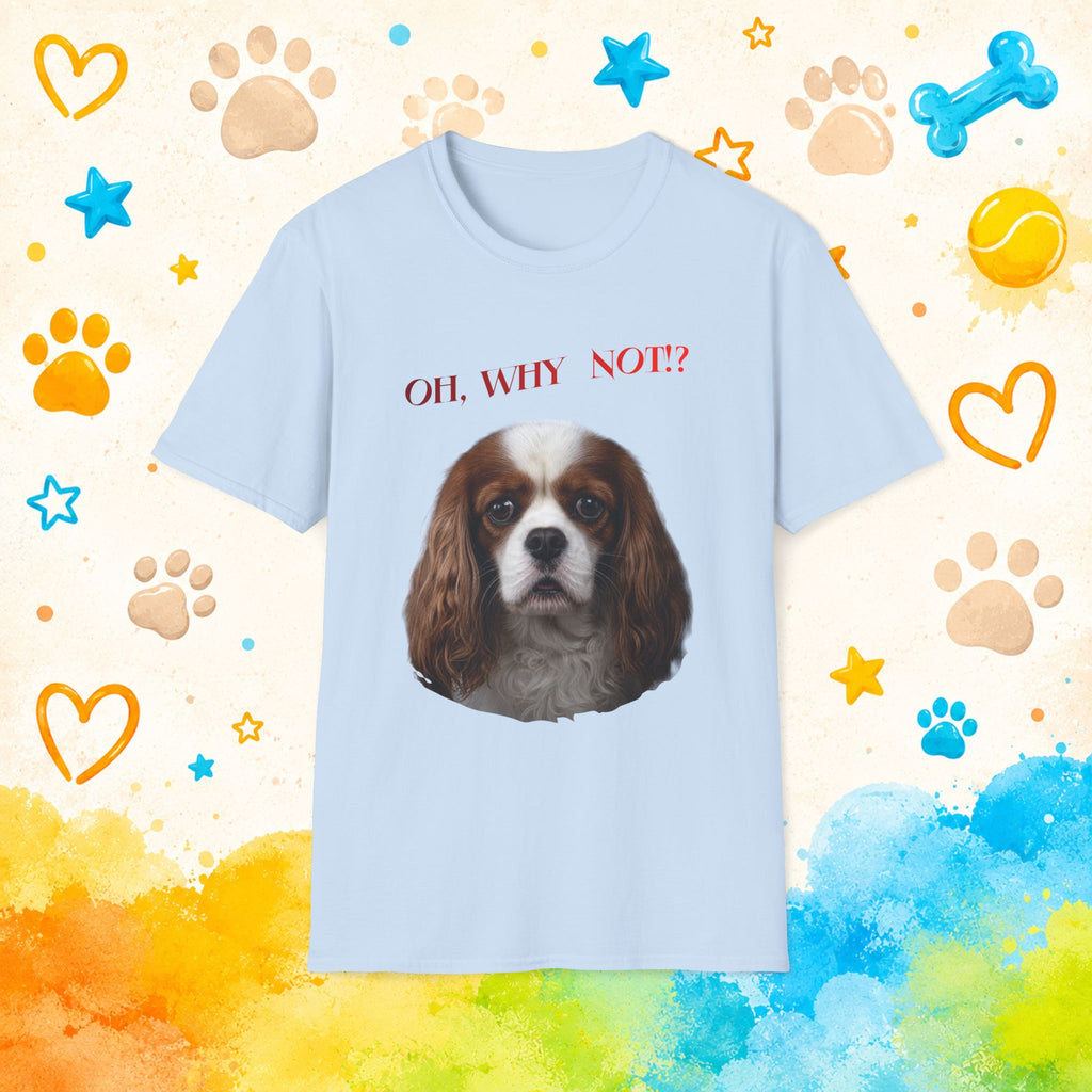 Oh, Why Not!? Funny Cavalier King Charles Spaniel T-Shirt – Happy-Go-Lucky Dog Lover Tee