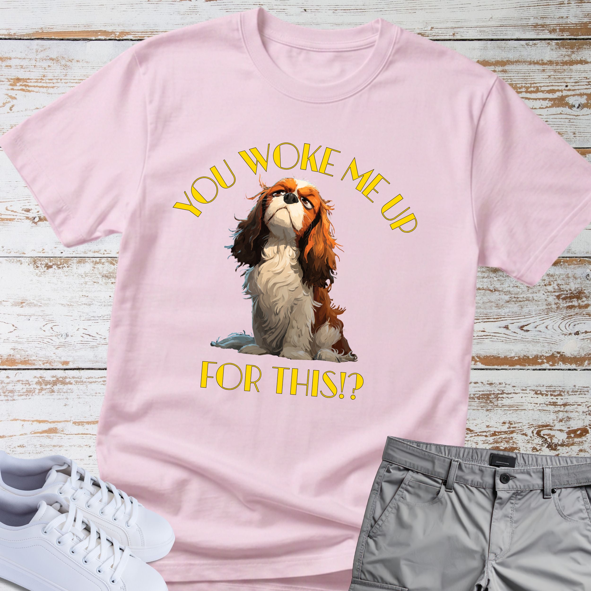 Cavalier King Charles You Woke Me Up For This?! T-Shirt