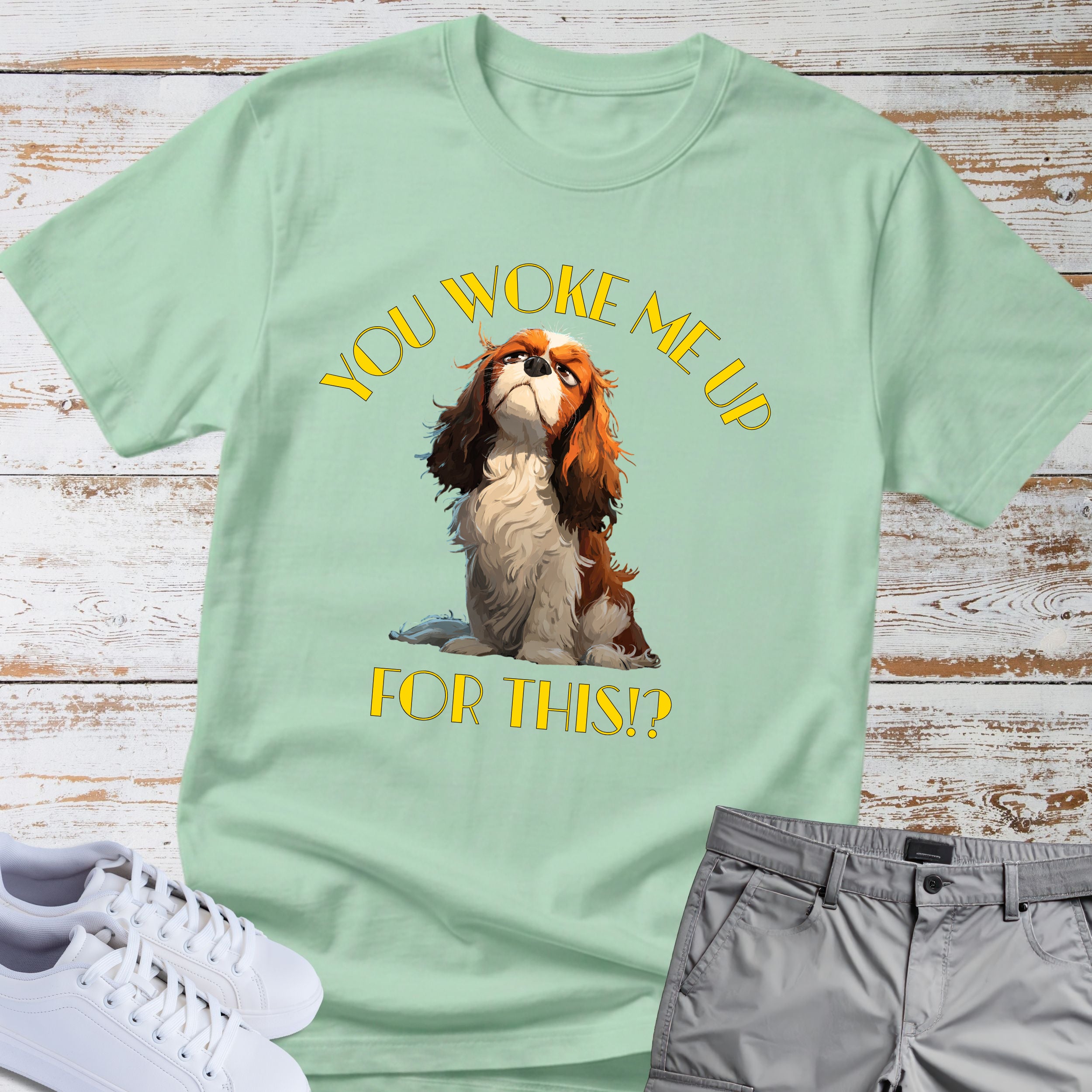 Cavalier King Charles You Woke Me Up For This?! T-Shirt