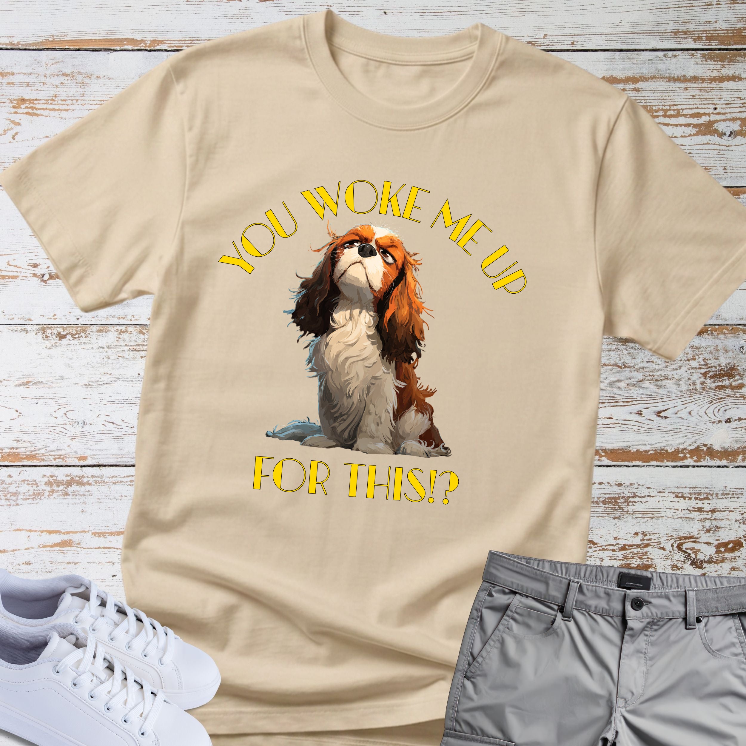 Cavalier King Charles You Woke Me Up For This?! T-Shirt