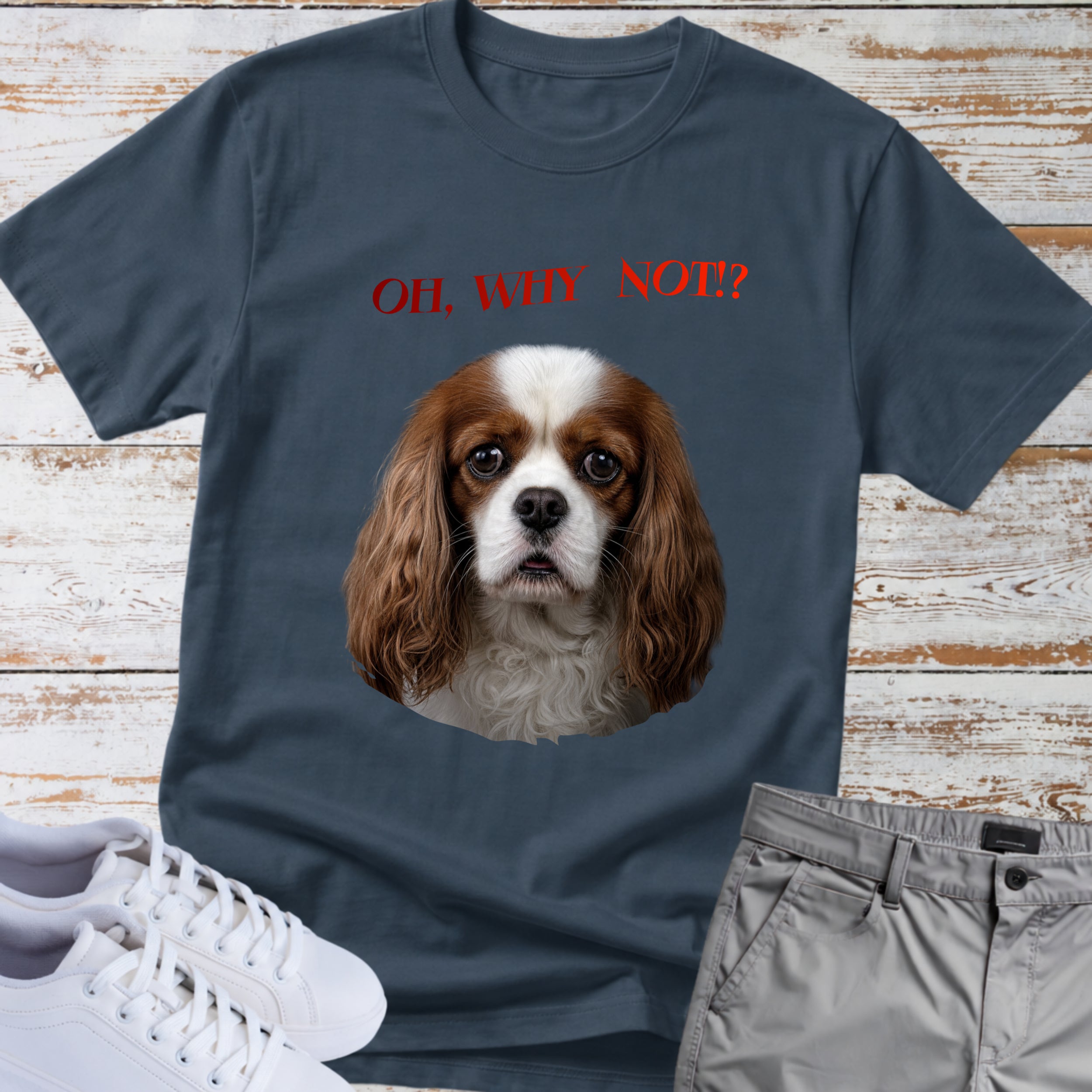 Oh, Why Not!? Cavalier King Charles T-Shirt