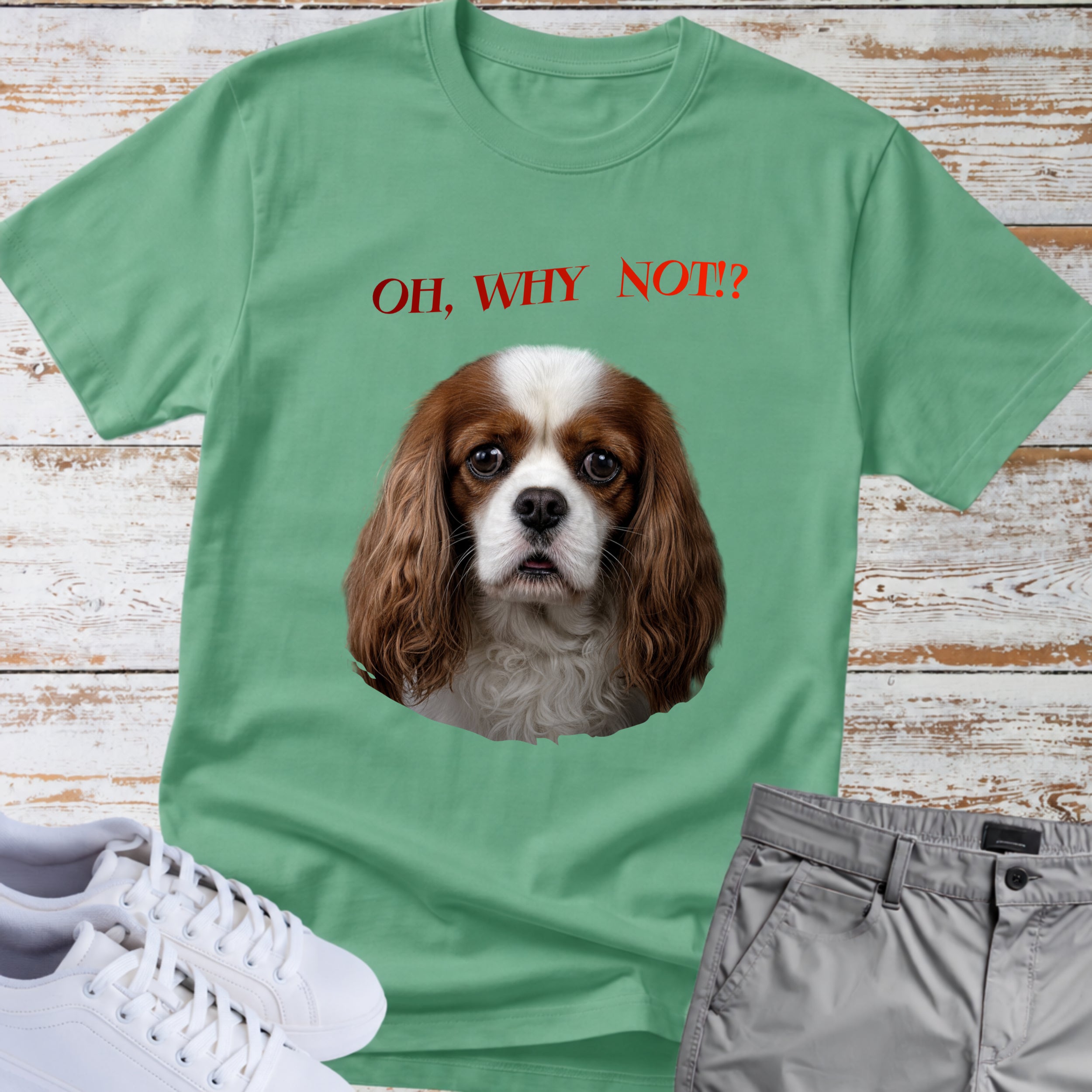 Oh, Why Not!? Cavalier King Charles T-Shirt