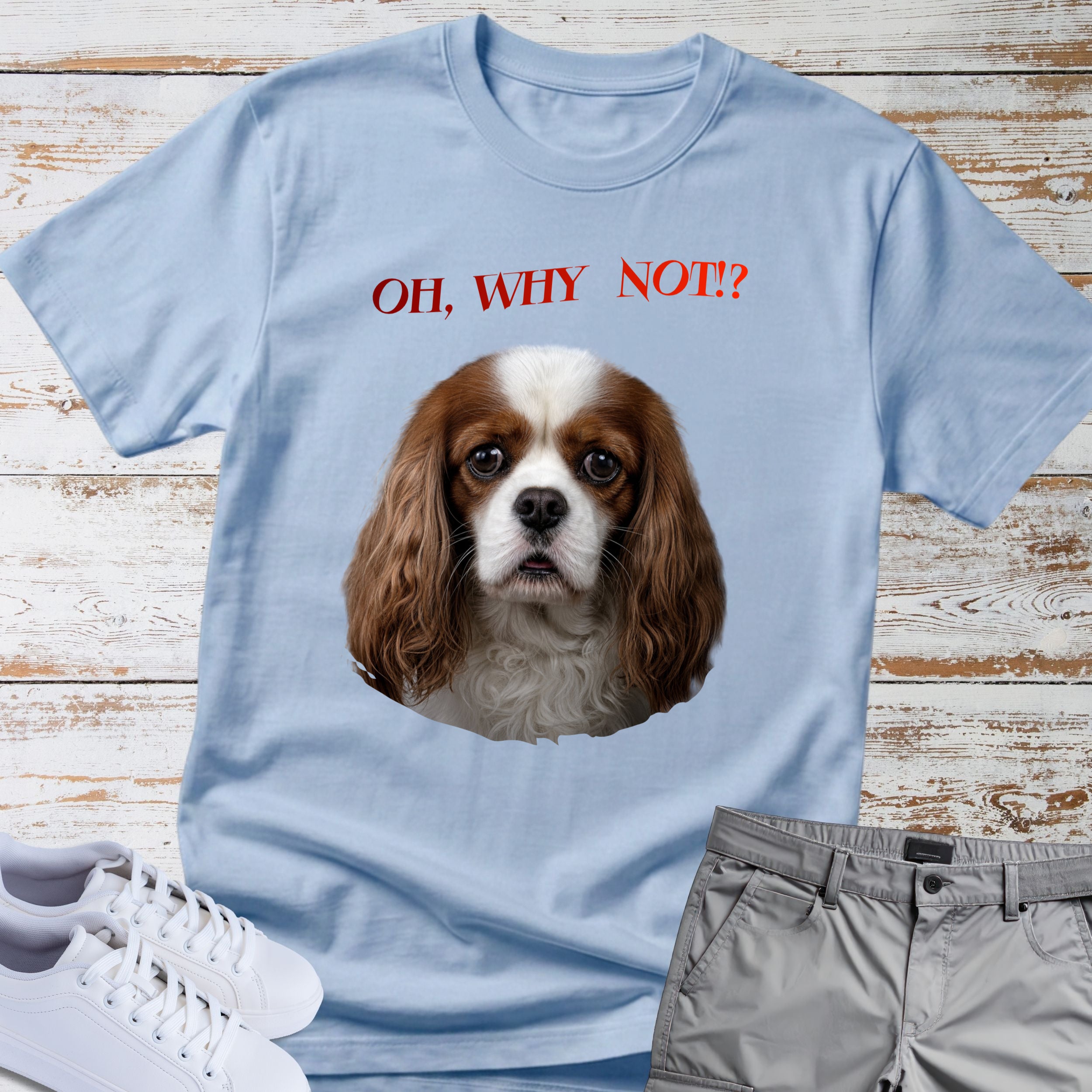 Oh, Why Not!? Cavalier King Charles T-Shirt
