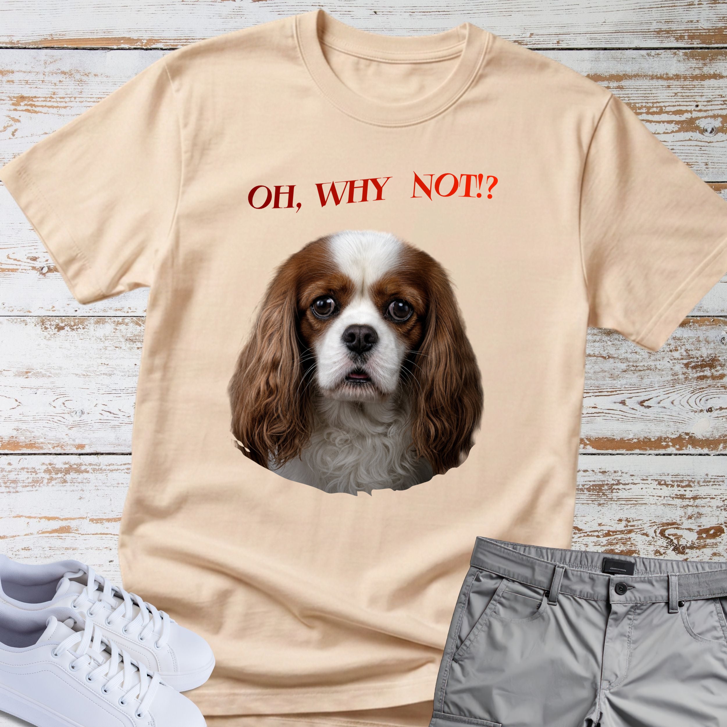 Oh, Why Not!? Cavalier King Charles T-Shirt