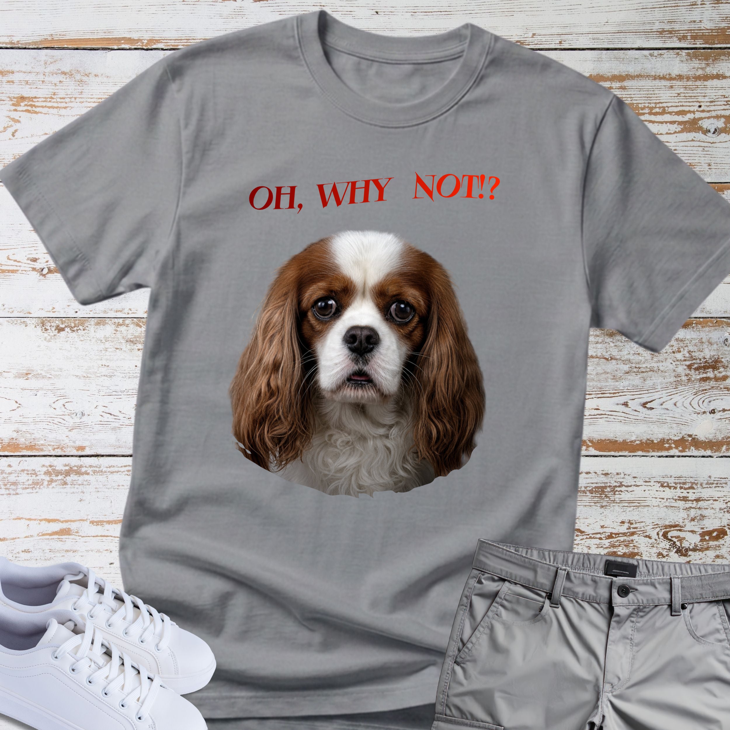 Oh, Why Not!? Cavalier King Charles T-Shirt