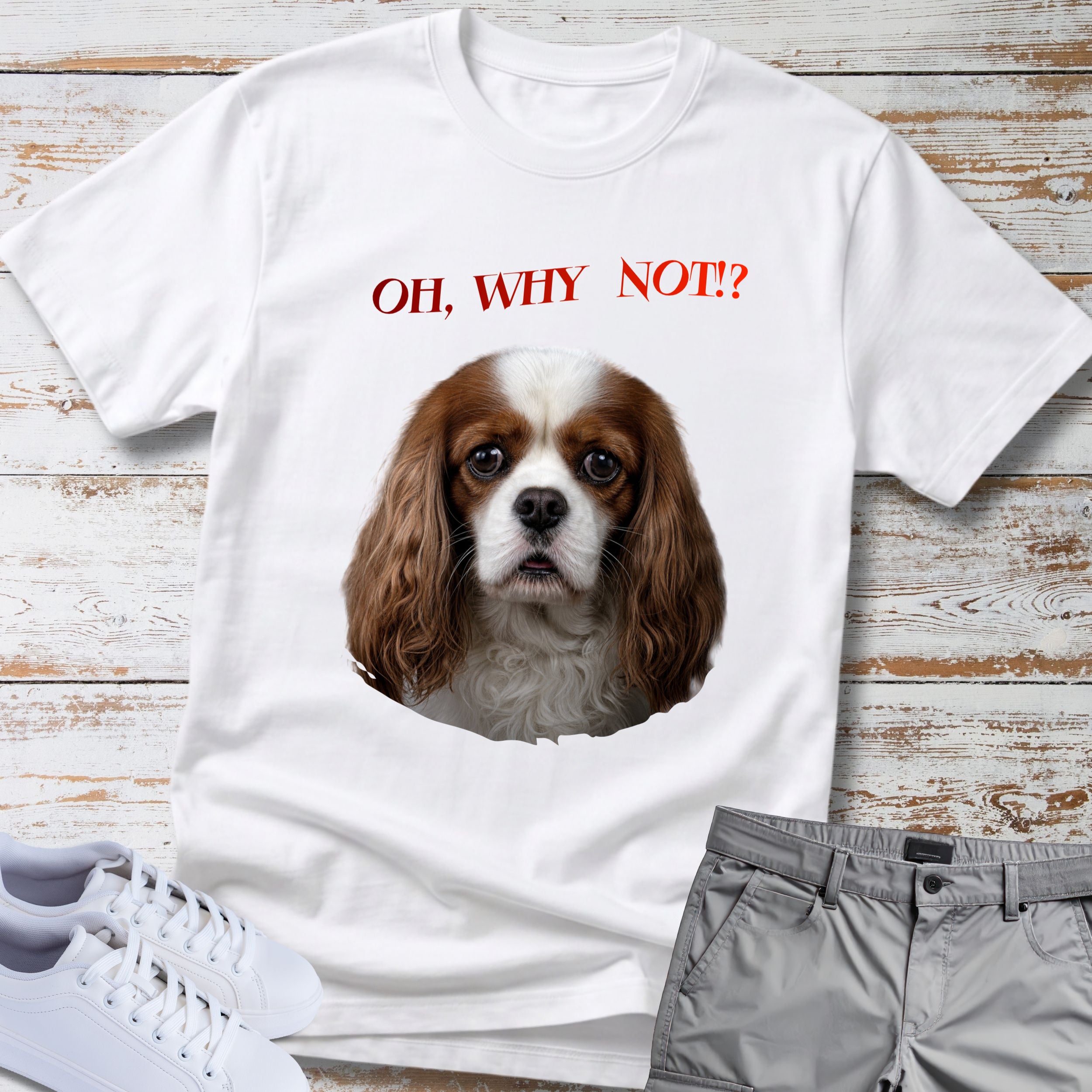Oh, Why Not!? Cavalier King Charles T-Shirt